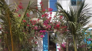 Un giardino con piante in vaso e una porta blu.