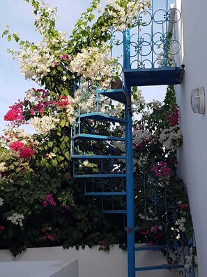 A blue metal spiral staircase with a white wall and flowering plants.