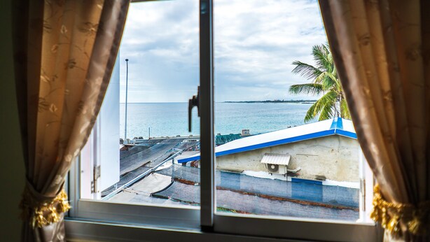 A view through a window with curtains, featuring a coastal area with buildings and a palm tree. - Blackfoot Homestay (Taitung)
