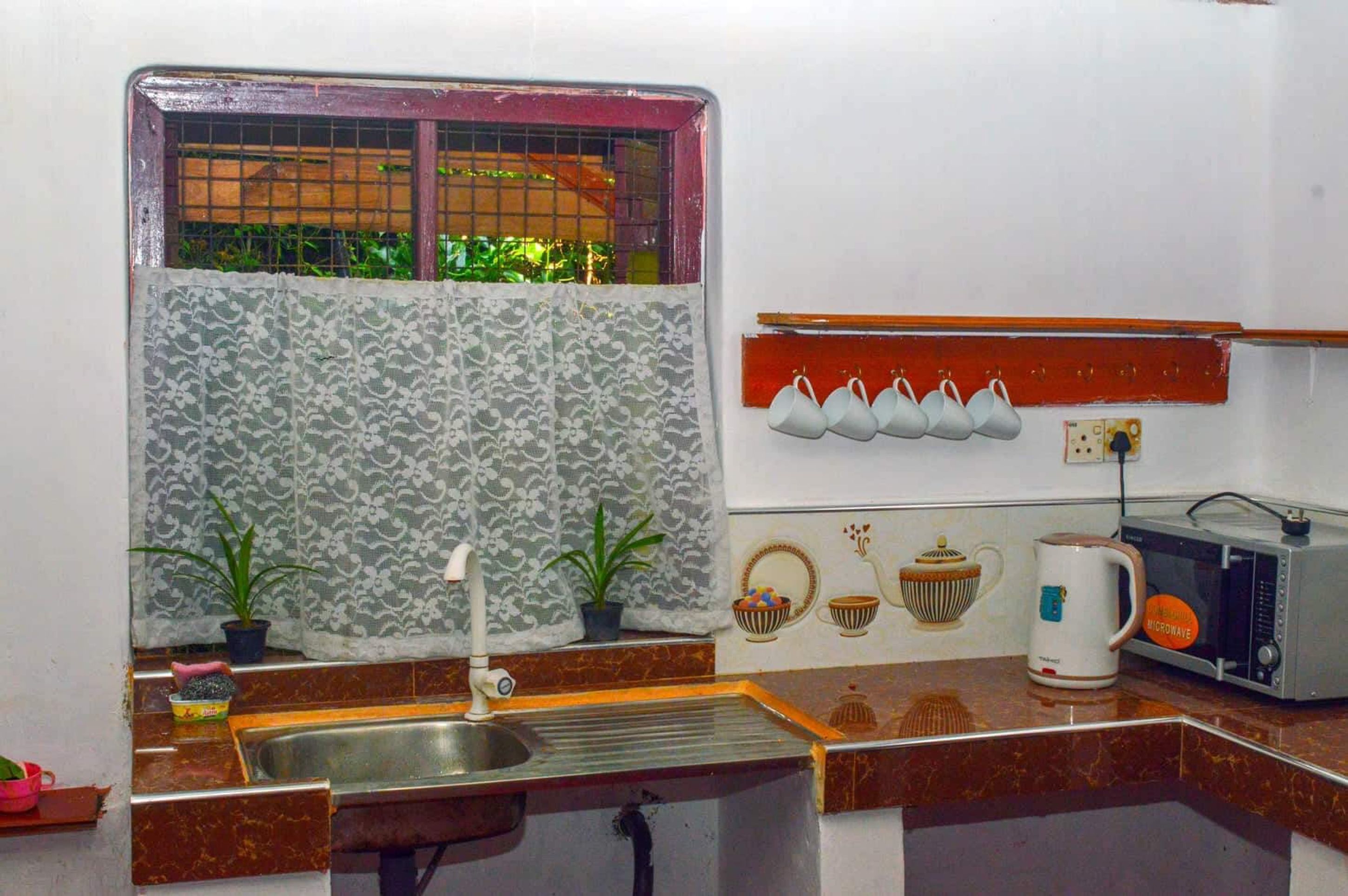 A kitchen with a sink, two potted plants, a microwave, and a wall-mounted shelf with cups.