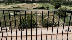 Un balcó amb barana de metall que dona a un paisatge rural amb camps i turons allunyats.