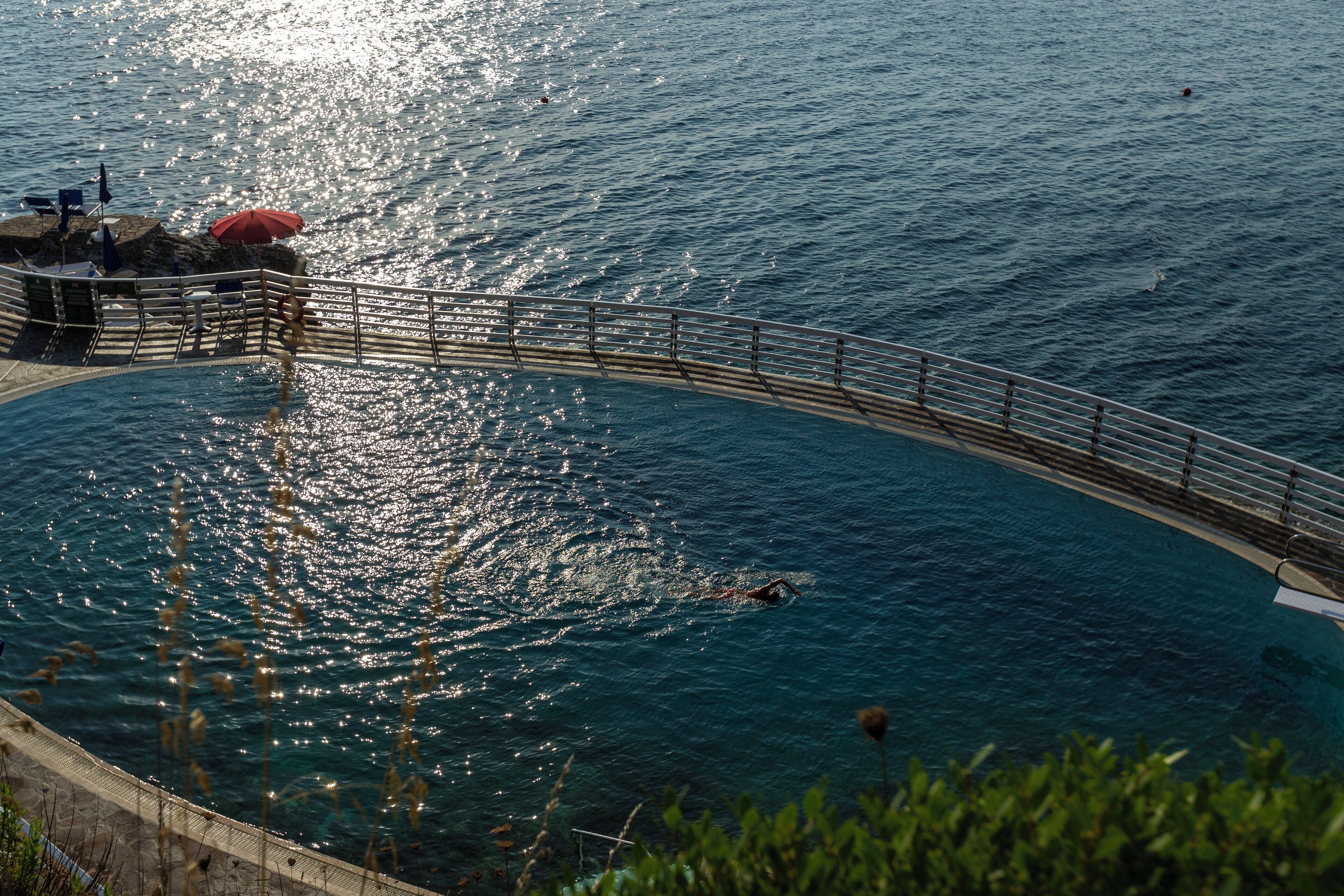 Une piscine incurvée, bordée d’une rambarde en métal et entourée de verdure.