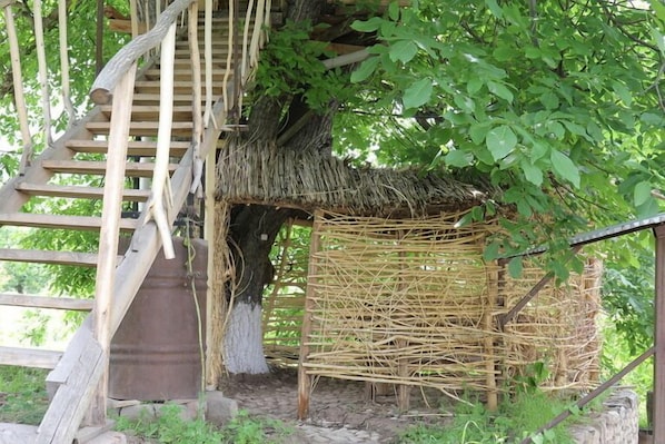 Exclusive Tree House