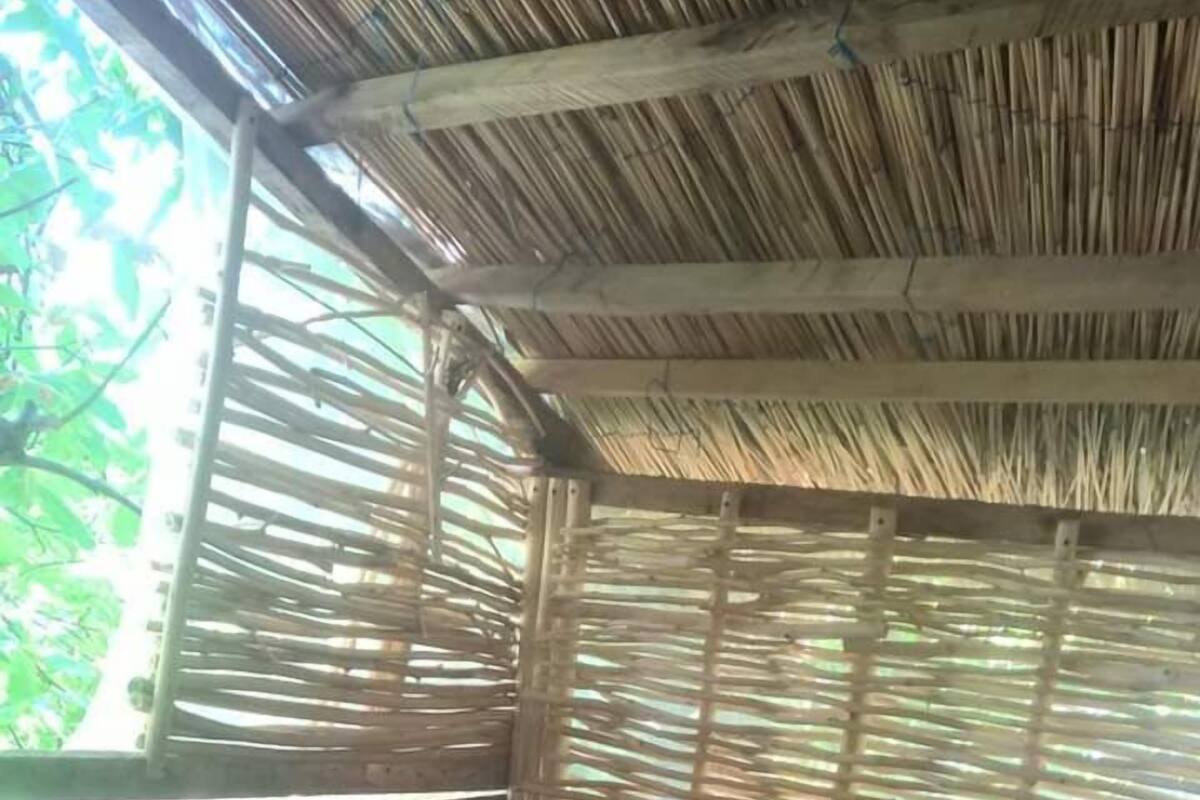 Exclusive Tree House