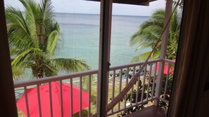 Beach/ocean view
