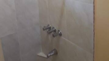 Zona de ducha con puerta de vidrio, toallero metálico y ducha.