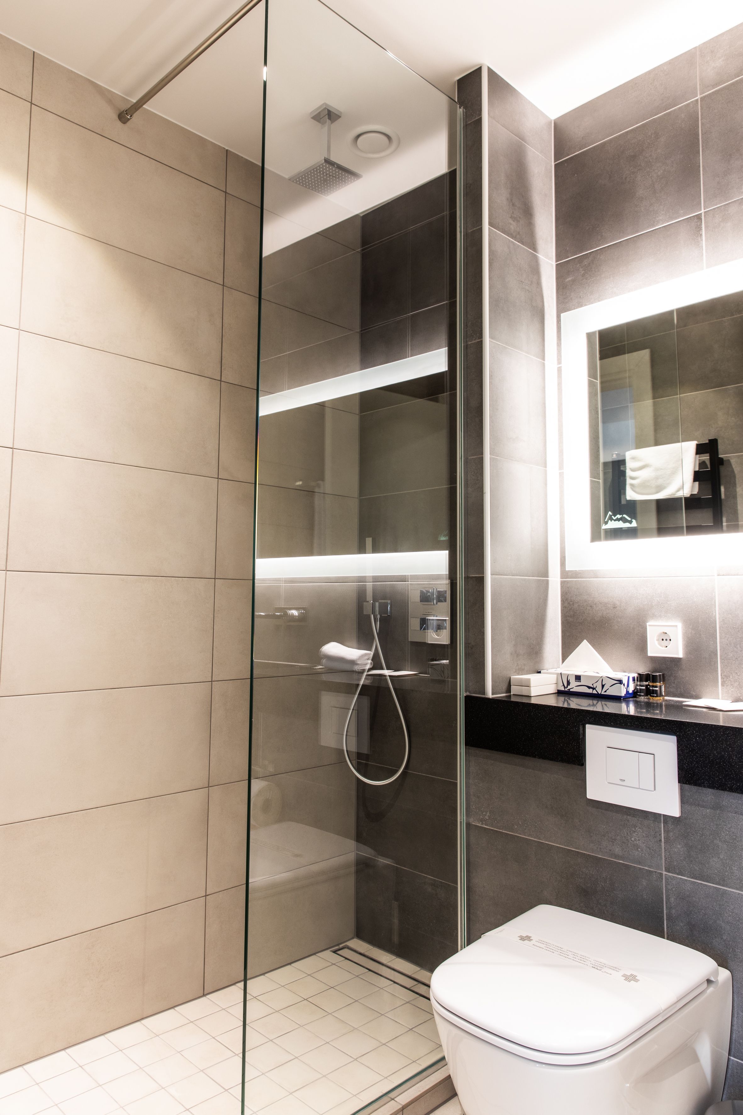 A modern bathroom with a glass-enclosed shower, a white toilet, and a dark tiled wall with a mirror.