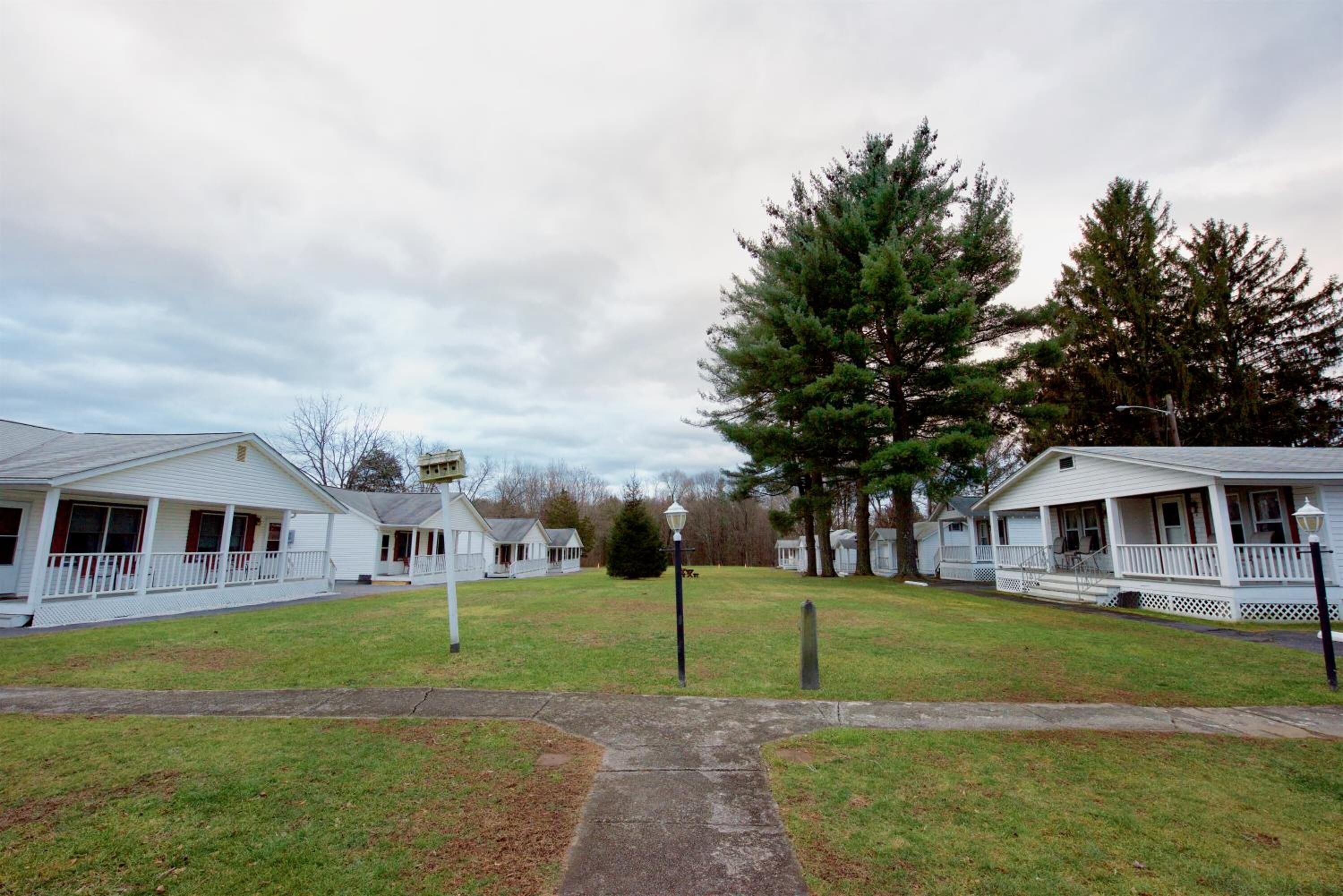 A row of white mobile homes with front porches, a central pathway, and a large evergreen tree.