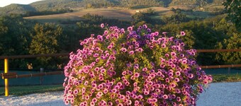 Il Pino: appartement dans ferme de campagne, à 15 minutes de Assise