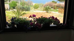 Vista desde una ventana que da a un jardín con diversas plantas y una vista distante del mar.