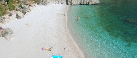 Lettini da mare
