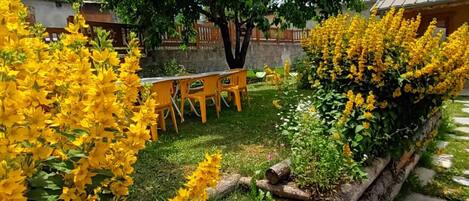 Terrazza/patio