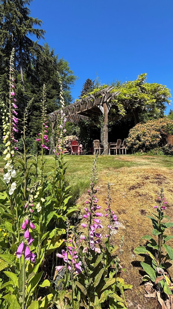 A garden with a wooden pergola, seating area, and tall flowering plants. - Acre By the Sea Guest Suite -Oceanview, Private Adult hottub/sauna Packages (Sooke)