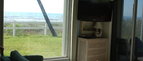 TV, DVD player, books