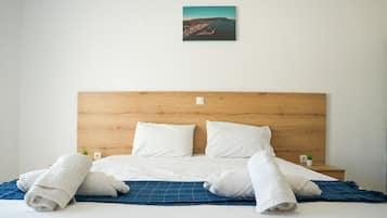 Basic Room | Desk, laptop workspace, iron/ironing board (on request), WiFi (free)
