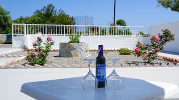 Habitación básica | Vistas al jardín