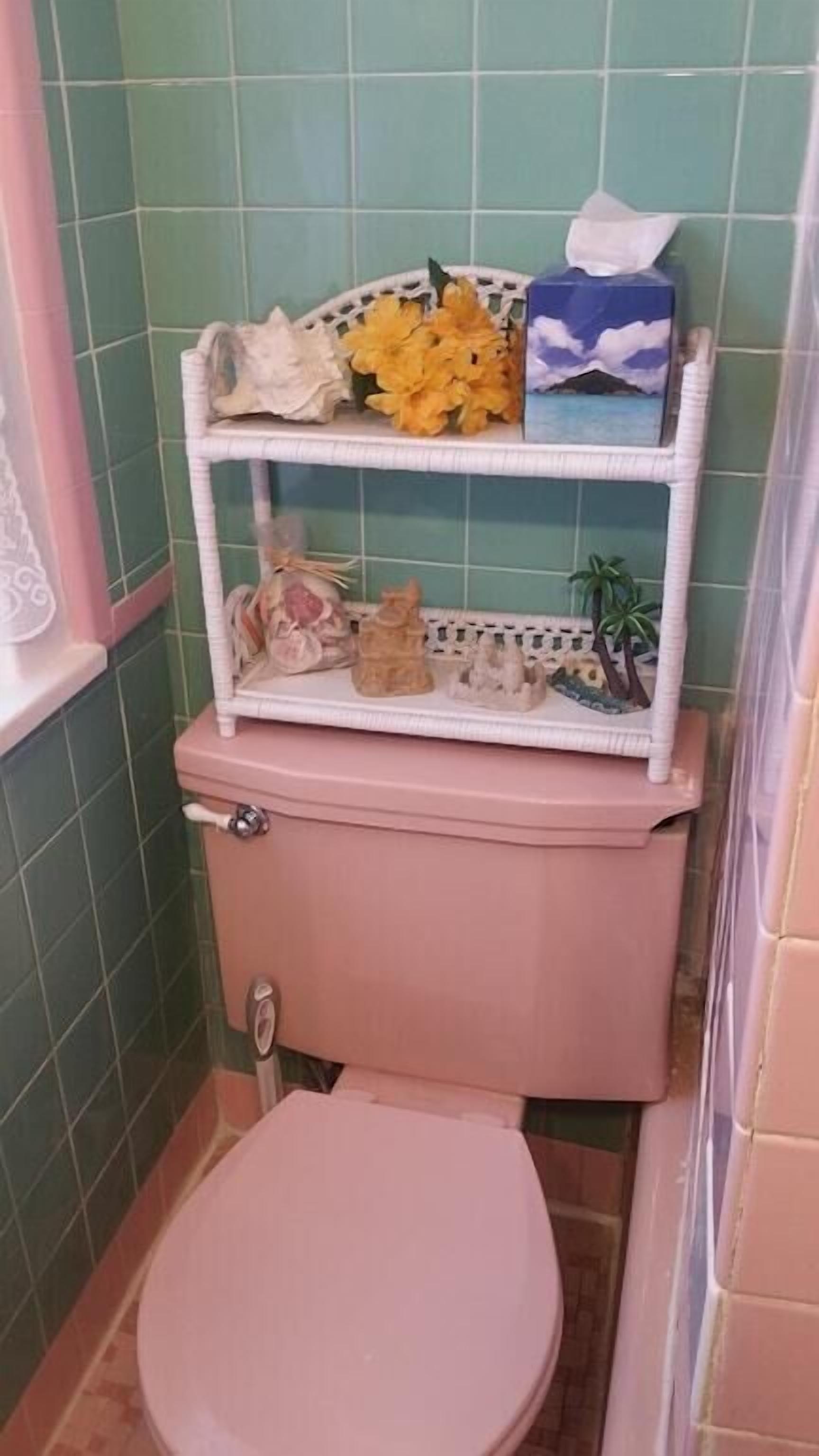 A bathroom with a toilet, a shelf with toiletries, and a small plant.