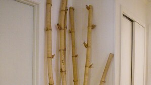 Un arreglo de bambú en un jarrón de madera sobre un fondo blanco.