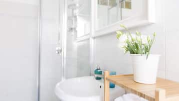 Shower, hair dryer, bidet, towels