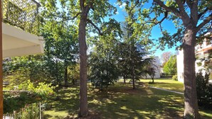 A courtyard with trees, a bench, and a building in the background.