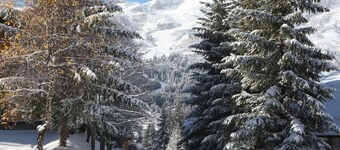 High-end apartment, immediate access to ski slopes