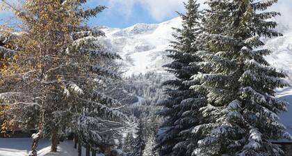 MERIBEL PLATEAU Familienapartment, renoviert und warm am Fuße der Piste 7 Pers.