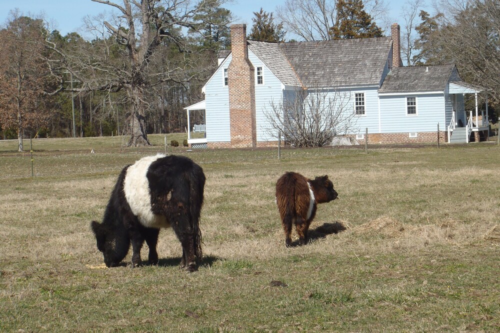 Farm-stay, Diversified Working Farm, Agrarian Setting
