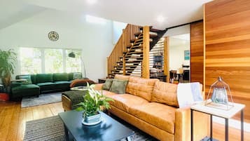 Älytelevisio, takka, DVD-soitin, kirjoja