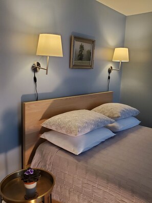 1 bedroom, desk, laptop workspace, iron/ironing board - UVA Hospital Area Free Guest Parking No Stairs Separate Private Entrance  (Charlottesville)