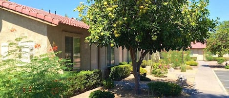 Terrain de lâhĂ©bergement