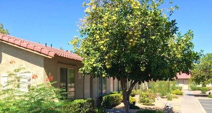 Stagecoach/Closest Resort