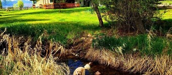 Maalaistalo sijaitsee 20 hehtaarilla