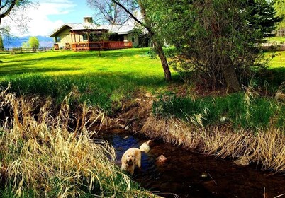 Country Home located on 20 Acres