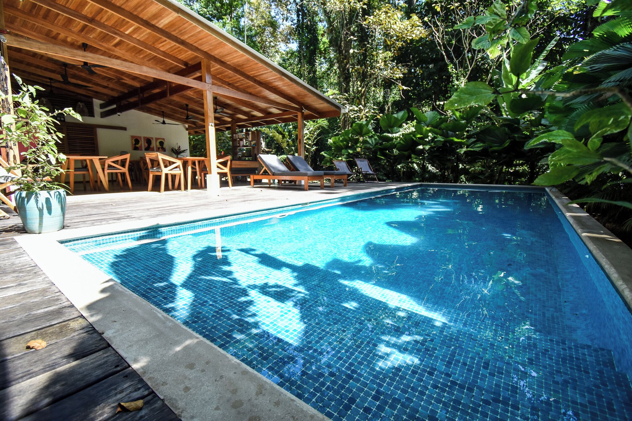 Een buitenzwembad, ligstoelen bij het zwembad