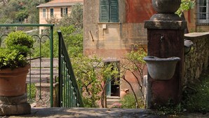 Un escalier en pierre mène à un bâtiment doté d’une tour horloge, qui est entouré de verdure et présente une architecture traditionnelle.