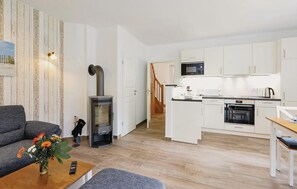 Fernseher, Kamin