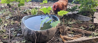 Waterfront living on a quiet lake. Pet Friendly.