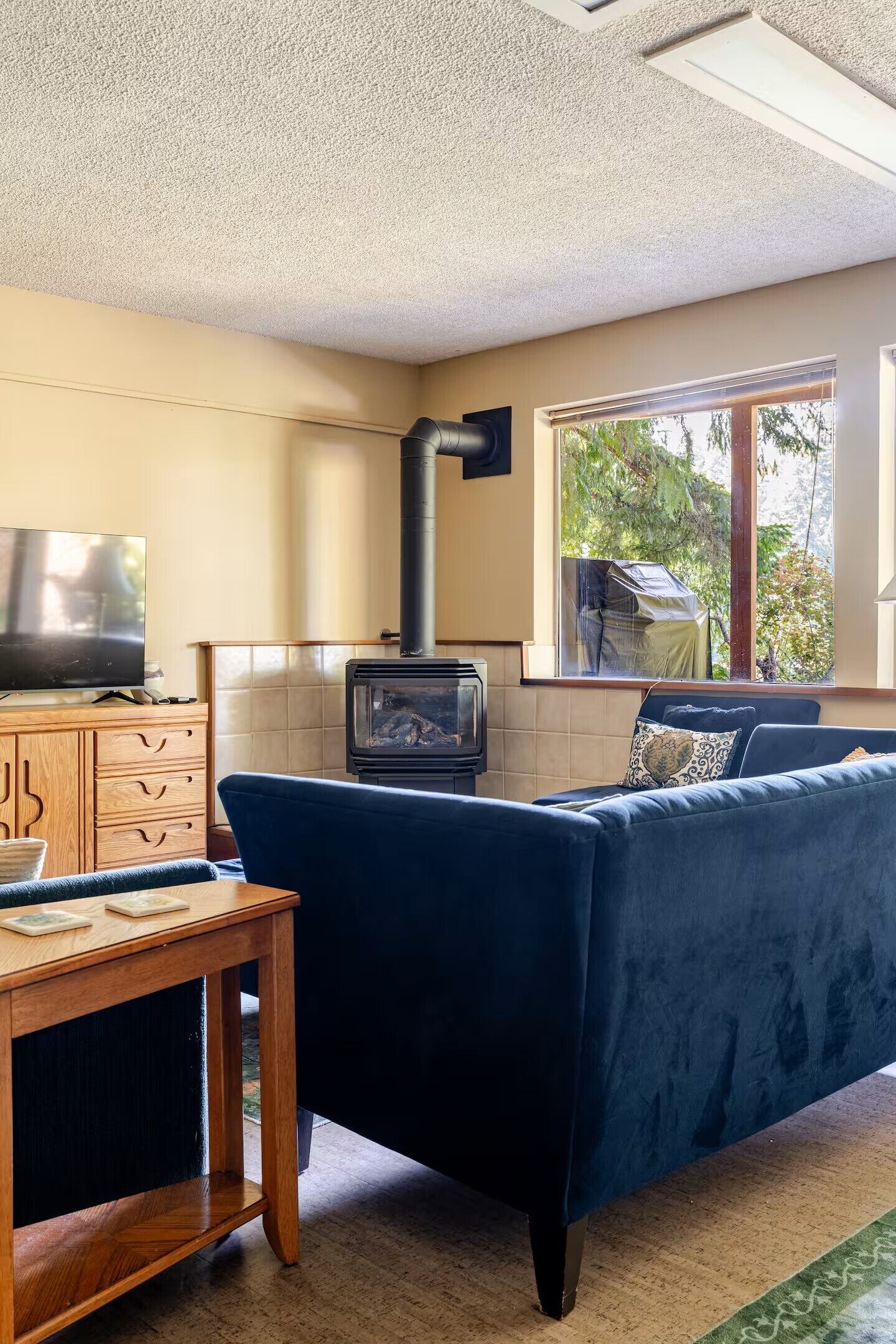 Smart TV, fireplace, DVD player, books