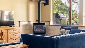 Smart TV, fireplace, DVD player, books