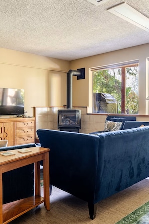 Smart-tv, een open haard, een dvd-speler en boeken
