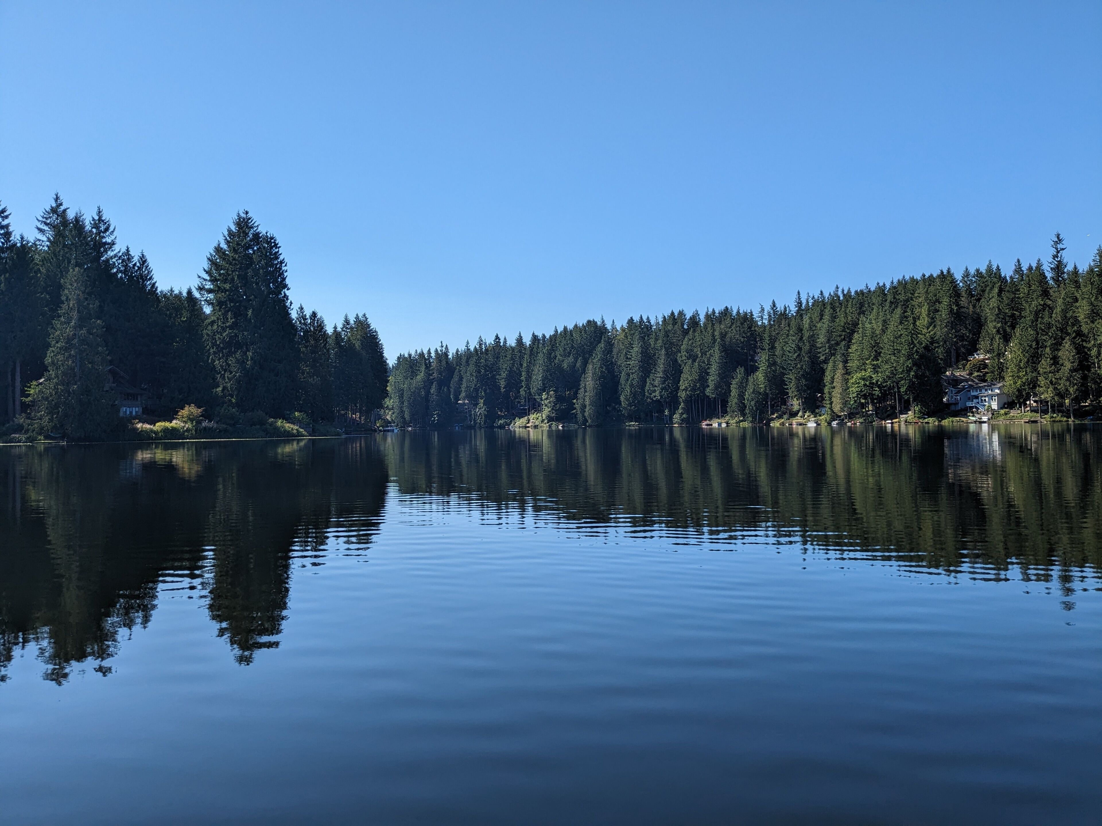 Ein ruhiger See, gesäumt von dichtem Wald, spiegelt Bäume und Himmel wider.