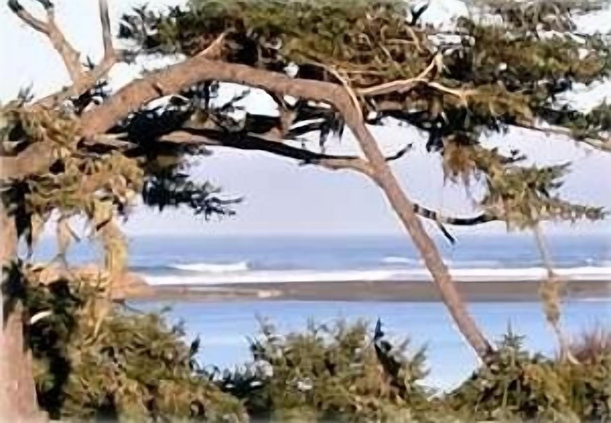 Whales Tale Cabin Fabulous Ocean and River Views
