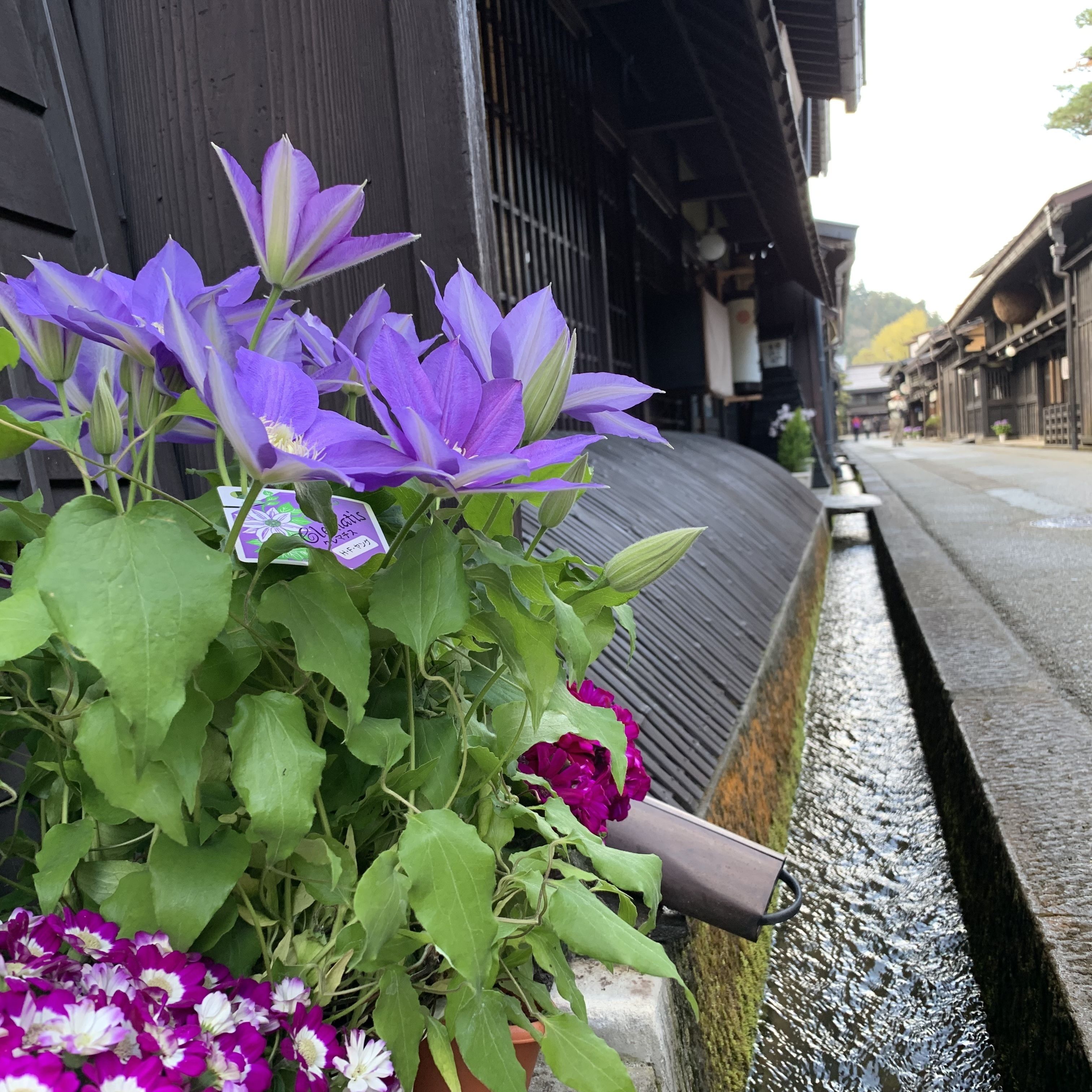 Foto - Hotel Wood Takayama