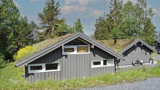 Eksteriør
