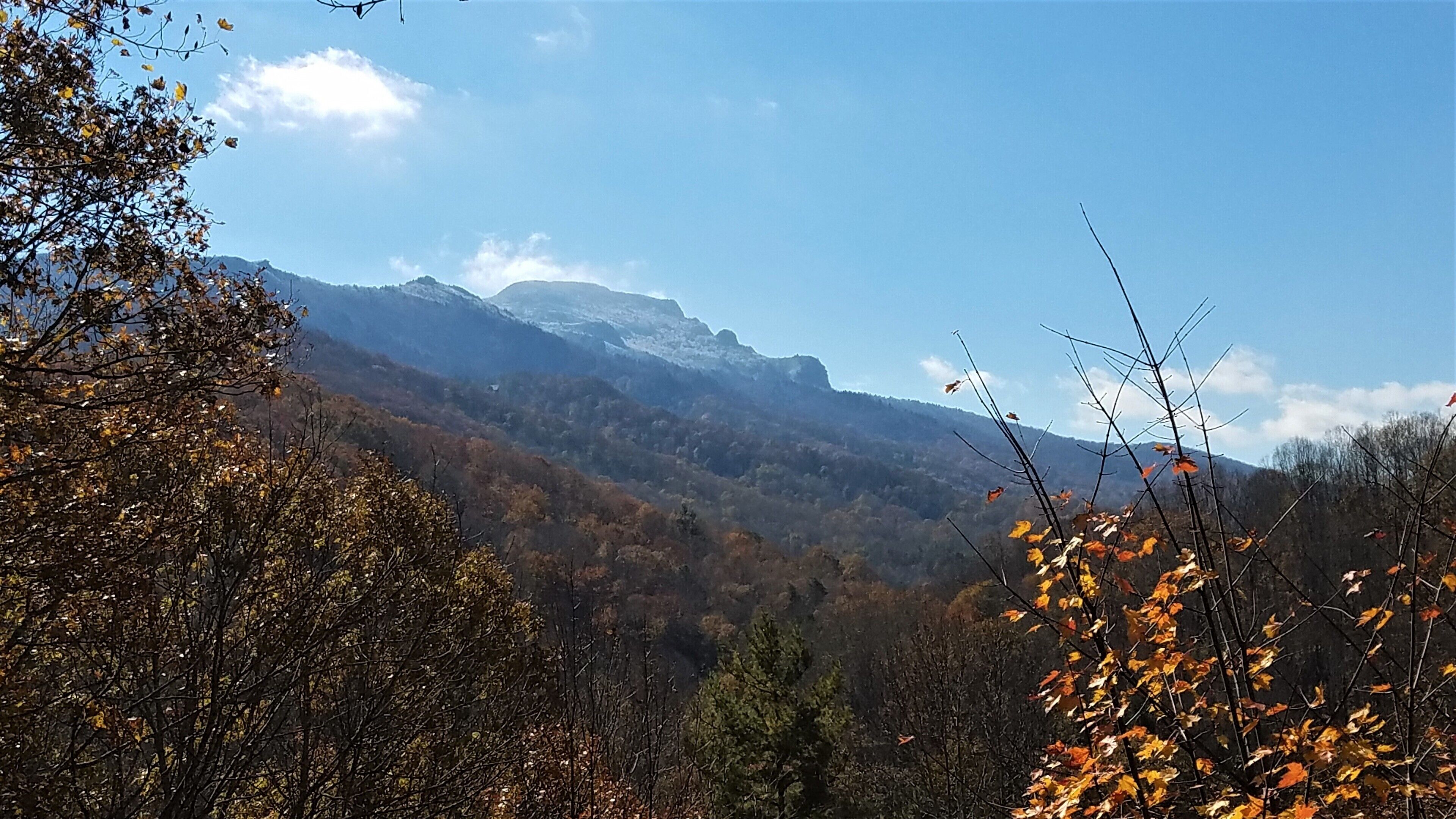 Spectacular Grandfather Mountain  Views from three levels, centrally located