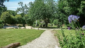 Een tuin met een grindpad, diverse planten en bomen.