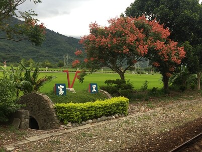 Guxiang Homestay