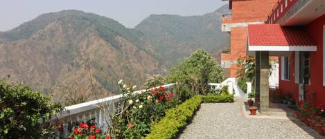 Standard Room | Terrace/patio