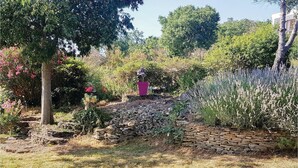 A garden with a stone wall, various plants, and a tree. - Pet friendly home in Salazac with sauna (Salazac)