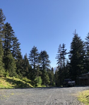 Drive through the forest along a scenic gravel road.